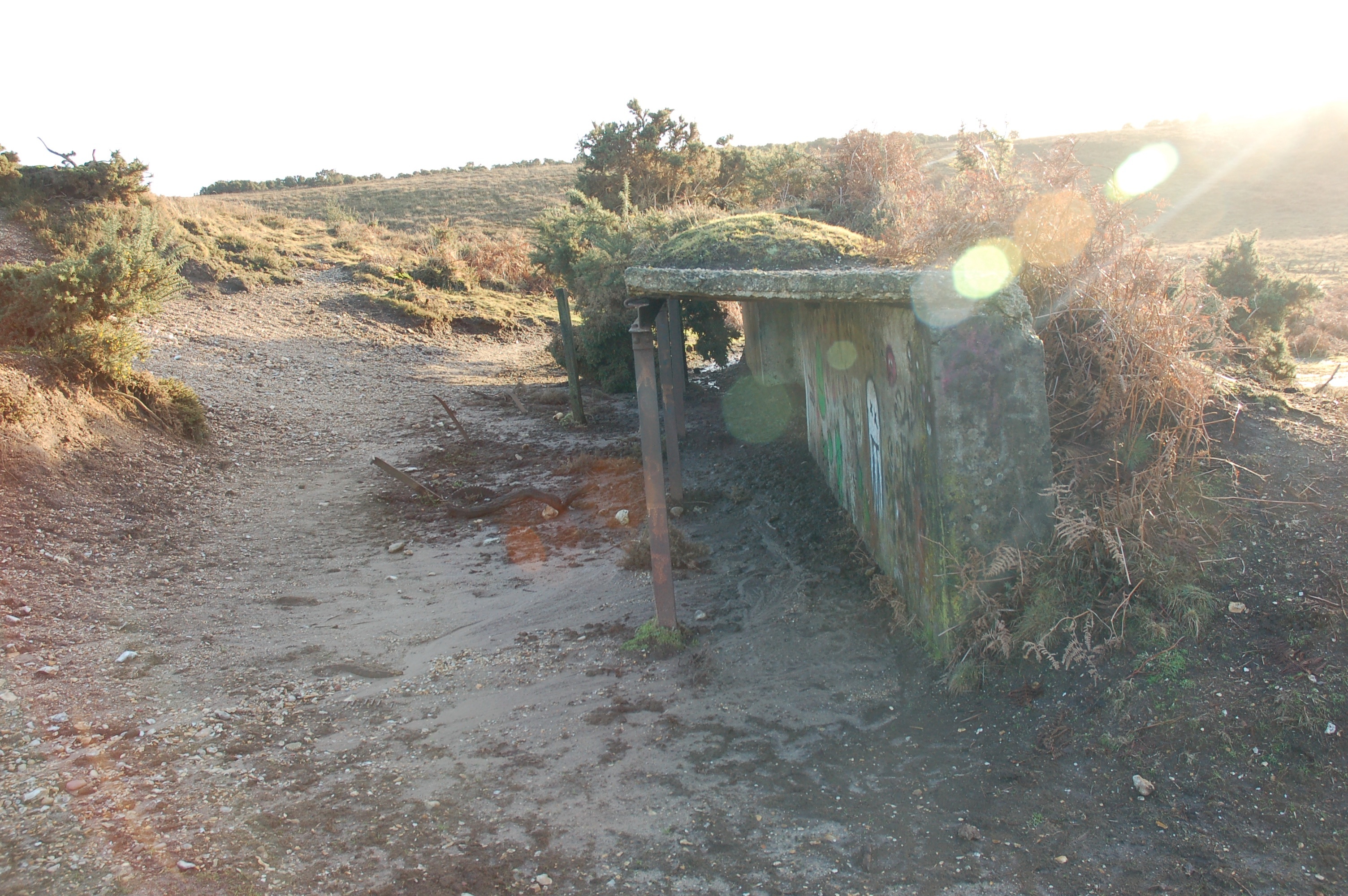 Longbottom_Range 8.jpg