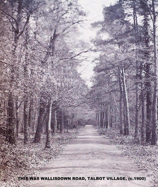 TALBOT WOODS, (NOW, WALLISDOWN RD), 1876.jpg