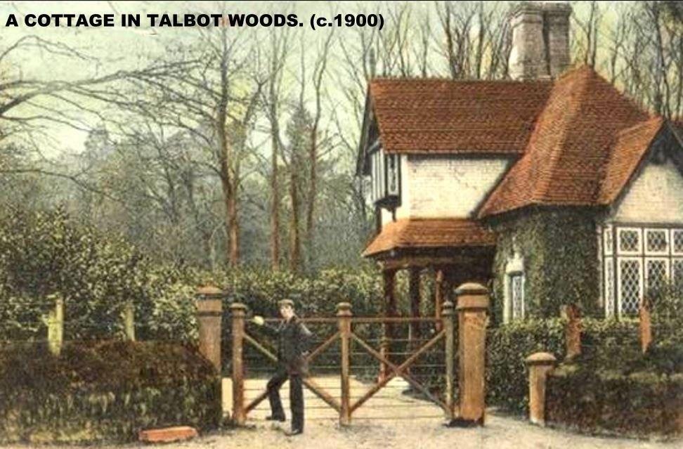 A COTTAGE IN TALBOT WOODS c1900