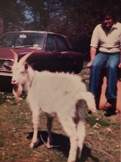 Goat car 2