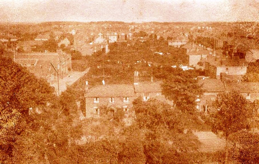 from St John's church tower looking east to Balfour Rd c1928